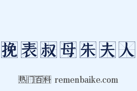 挽表叔母朱夫人是什么意思的图片